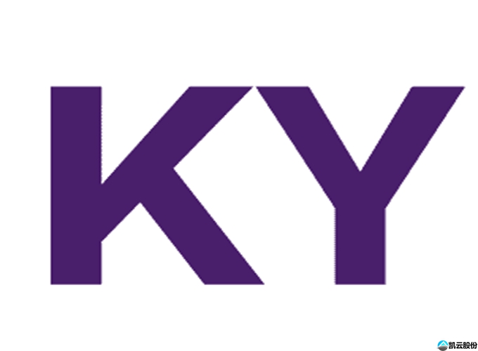 汽车安全ADAS加速器 ASIC芯片方案 毫秒级响应